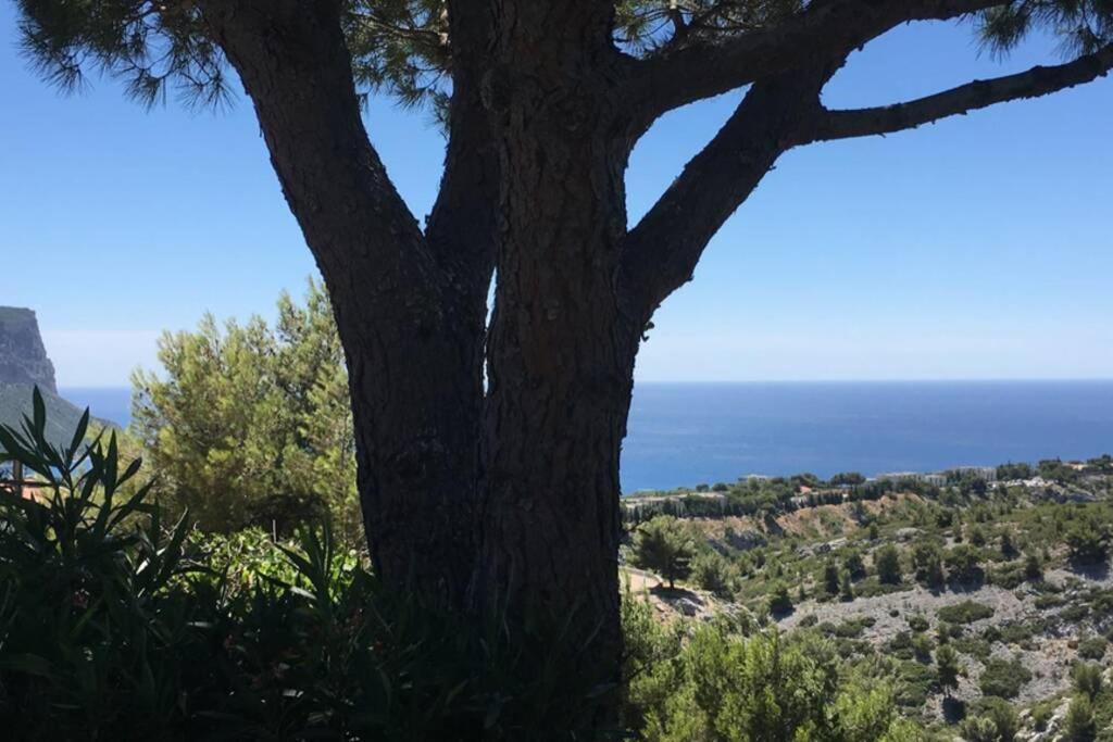 Magnifique Studio Cassis Exterior photo